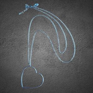 🌸Charming Charlie Heart Pendant Necklace